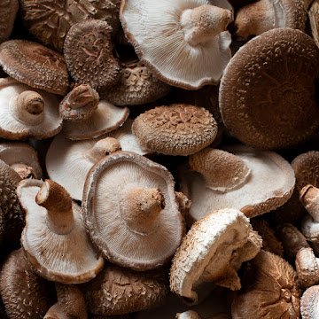 Negocio Fungi Natur