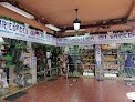 Negocio Herboristería Mil Variedades
