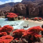 las-palmas-de-gran-canaria