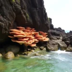 santa-cruz-de-tenerife